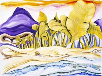 Lonely Shell Artwork: Lonely Shell