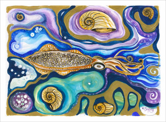 Squid and Nautilus Shell Artwork: Squid and Nautilus Shell